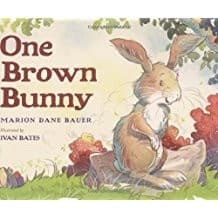 Tapa de One Brown Bunny