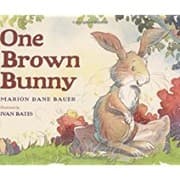 Tapa de One Brown Bunny