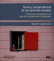 Tapa de Teoría y jurisprudencia de los derechos sociales : tendencias emergentes en el derecho internacional y comparado - 1. ed.