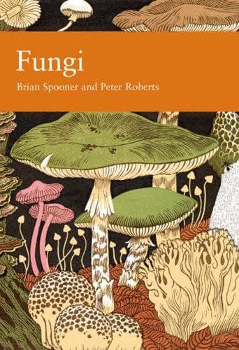 Tapa de Fungi