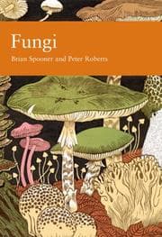 Tapa de Fungi
