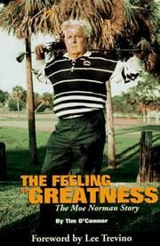 Tapa de The Feeling of Greatness