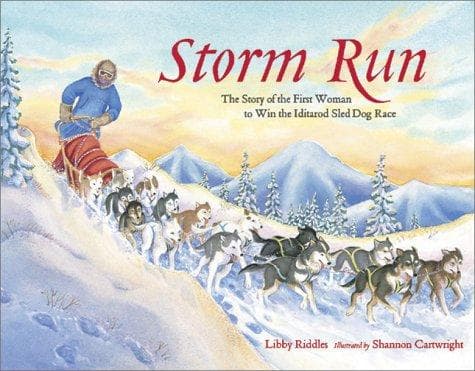Tapa de Storm Run