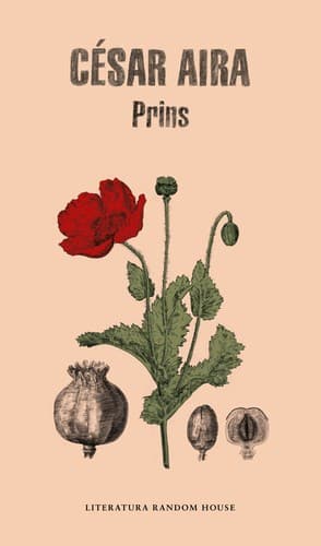 Tapa de Prins
