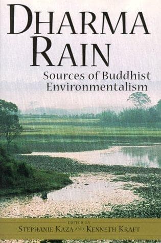 Tapa de Dharma rain
