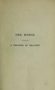 Tapa de The horse