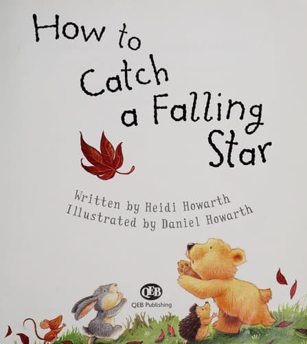 Tapa de How to catch a falling star