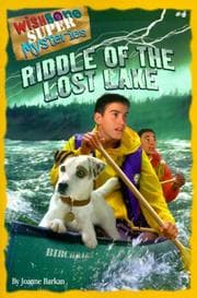 Tapa de Riddle of the lost lake