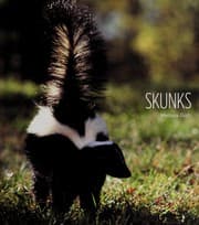 Tapa de Skunks