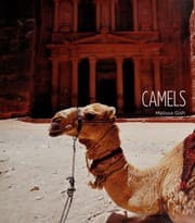 Tapa de Camels