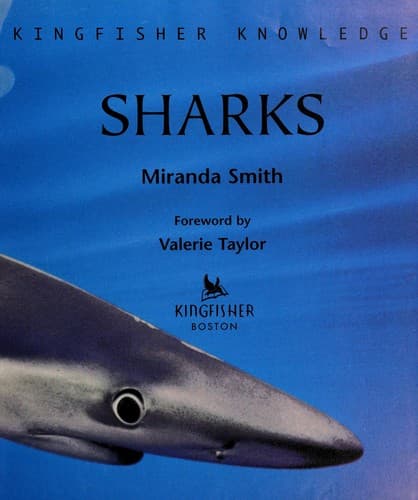 Tapa de Sharks