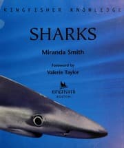 Tapa de Sharks