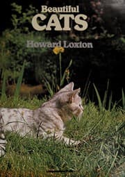 Tapa de Beautiful Cats