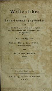 Tapa de Wellenlehre auf Experimente gegründet oder über die Wellen tropfbarer Flüssigkeiten mit Anwendung auf die Schall- und Lichtwellen