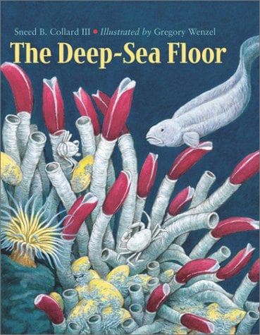 Tapa de The Deep-Sea Floor (Charlesbridge)