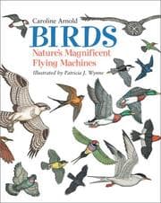 Tapa de Birds