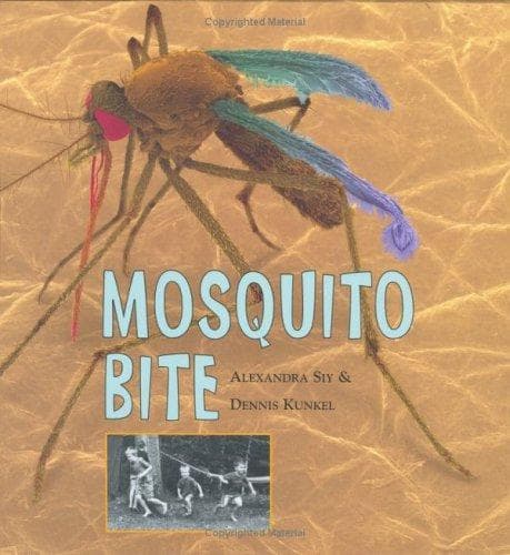 Tapa de Mosquito Bite