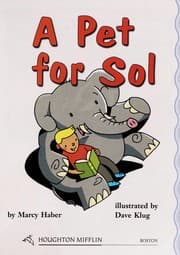 Tapa de A Pet for Sol