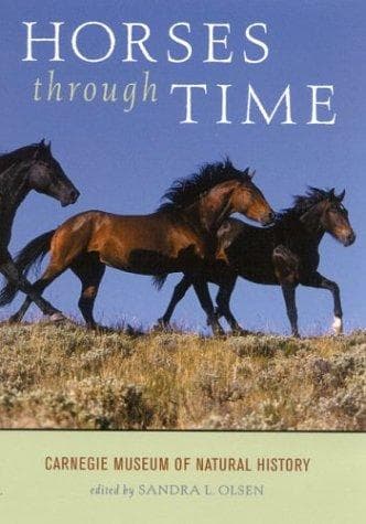Tapa de Horses Through Time