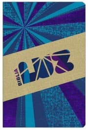 Tapa de BC-BI-RVC BIBLIA LUZ RAYOS DE AZUL VIOLETA SIMIL PIEL