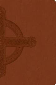 Tapa de NLT PREMIUM VALUE SLIMLINE LARGE PRINT BROWN BIBLE