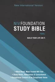 Tapa de NIV FOUNDATION STUDY