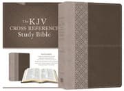 Tapa de KJV CROSS REF STUDY STONE