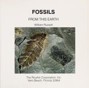 Tapa de Fossils