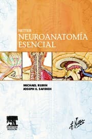 Tapa de Netter. Neuroanatomía esencial