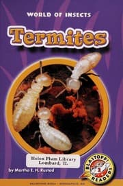 Tapa de Termites