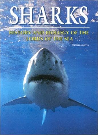 Tapa de Sharks