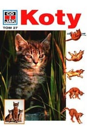 Tapa de Koty