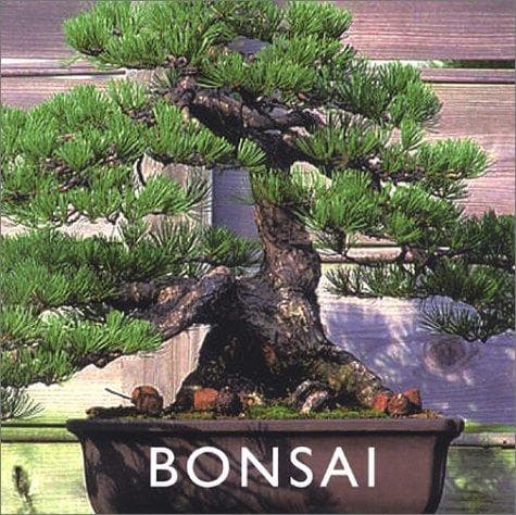Tapa de Bonsai
