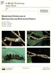 Tapa de Geometroid caterpillars of northeastern and Appalachian forests