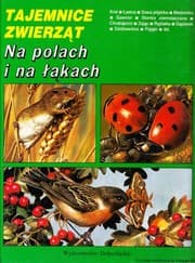 Tapa de Na polach i na łąkach