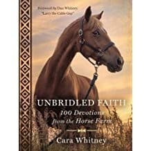 Tapa de Unbridled Faith