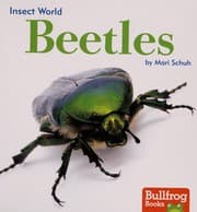 Tapa de Beetles