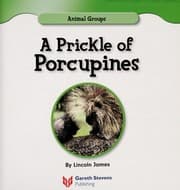 Tapa de A prickle of porcupines