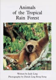 Tapa de Animals of the tropical rain forest