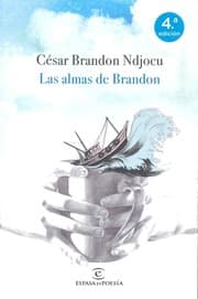 Tapa de Las almas de Brandon