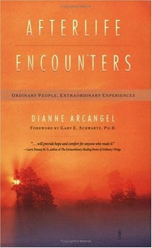 Tapa de Afterlife Encounters
