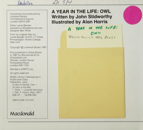 Tapa de Owl