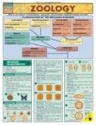 Tapa de Zoology