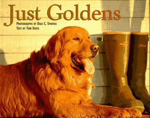 Tapa de Just goldens