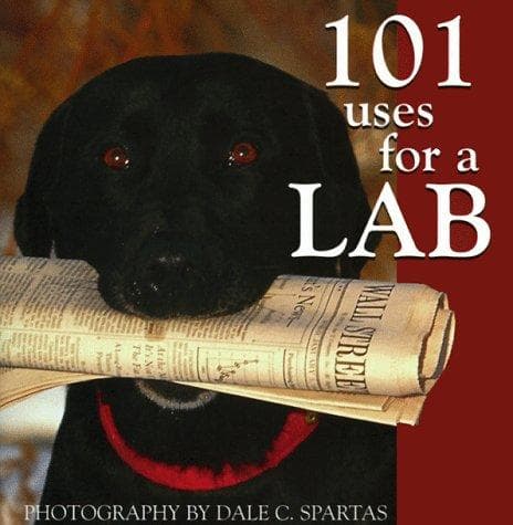 Tapa de 101 uses for a lab