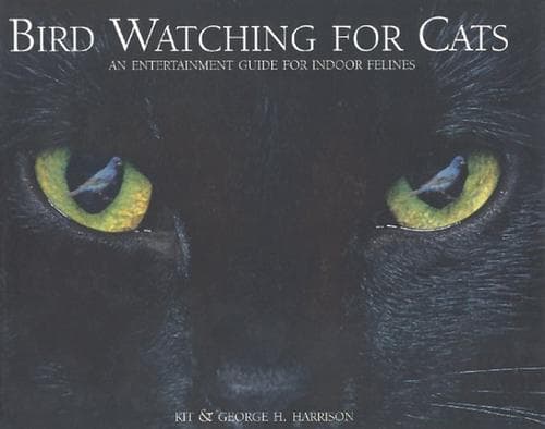 Tapa de Bird watching for cats