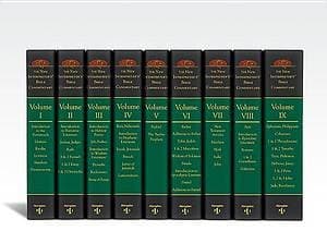 Tapa de The New Interpreter's Bible Commentary