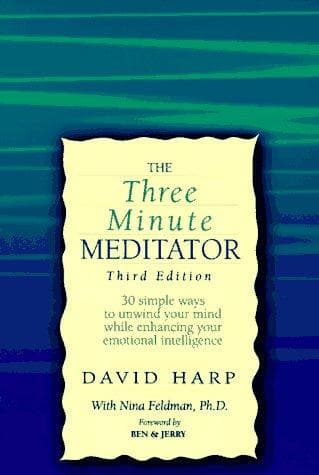 Tapa de The three minute meditator