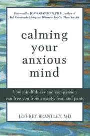 Tapa de Calming Your Anxious Mind