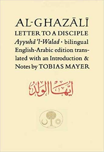 Tapa de Letter to a disciple =